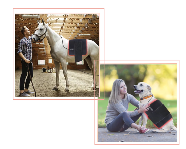 TheraRot Wärmepad Pro